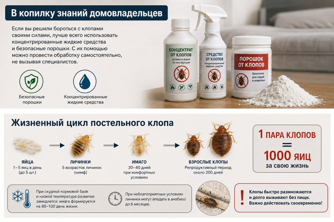 В копилку знаний домовладельцев